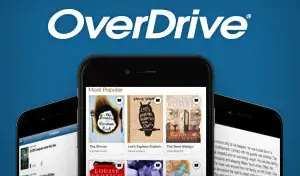 Access Popular Business eBooks and Audiobooks