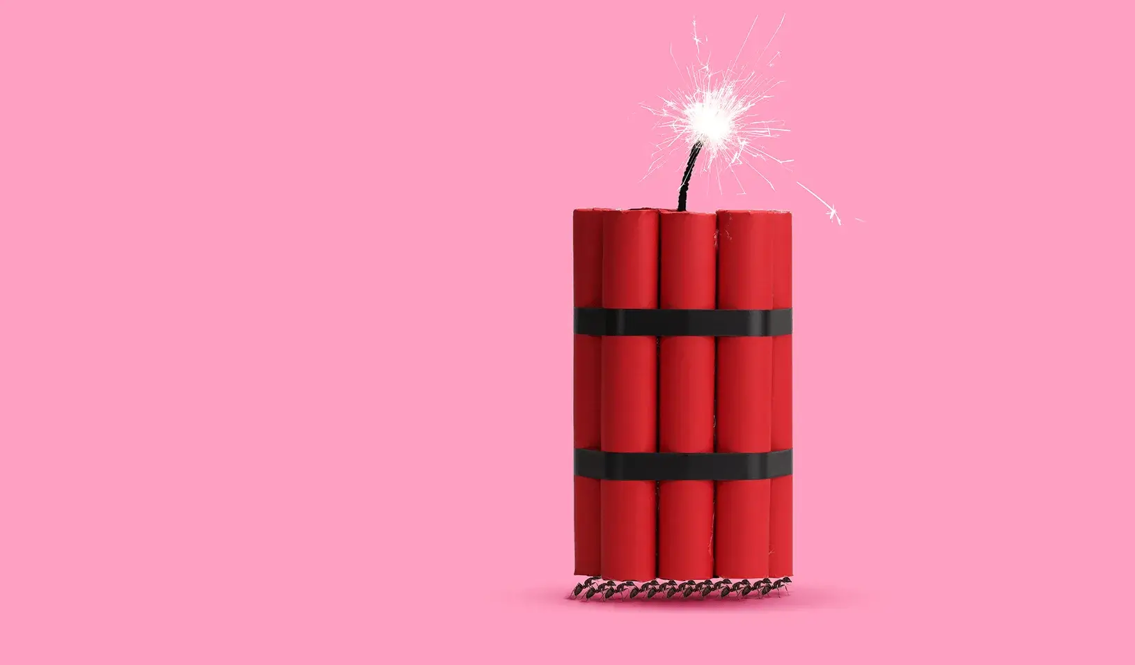 Lighted bundle of dynamite. |  Illustration by Álvaro Domínguez.