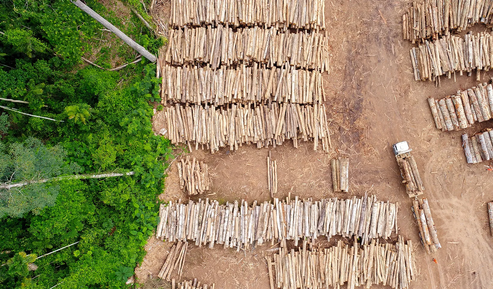 It Takes a Village: Using Game Theory to Get Farmers to Fight Deforestation