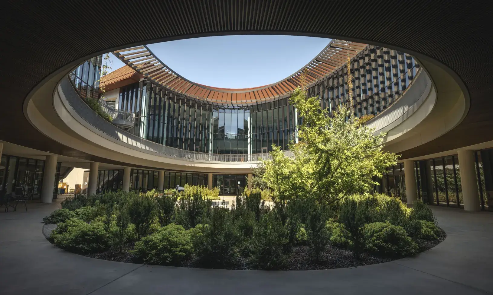 Circular garden at Stanford
