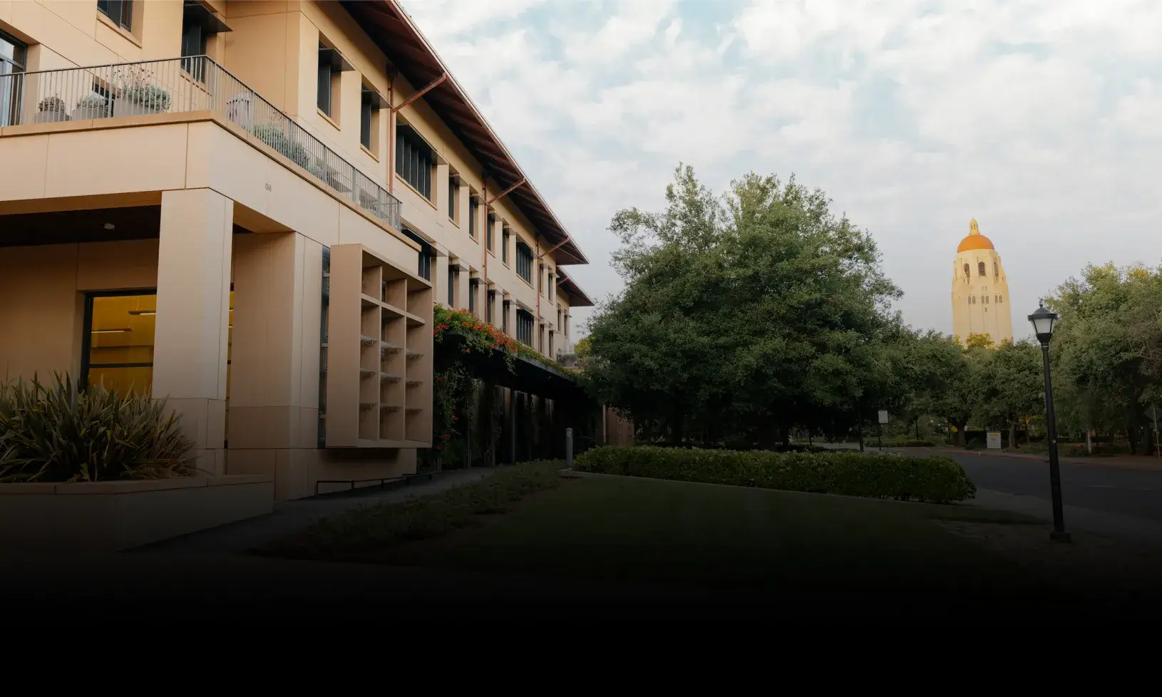 Campus with hoover tower in background