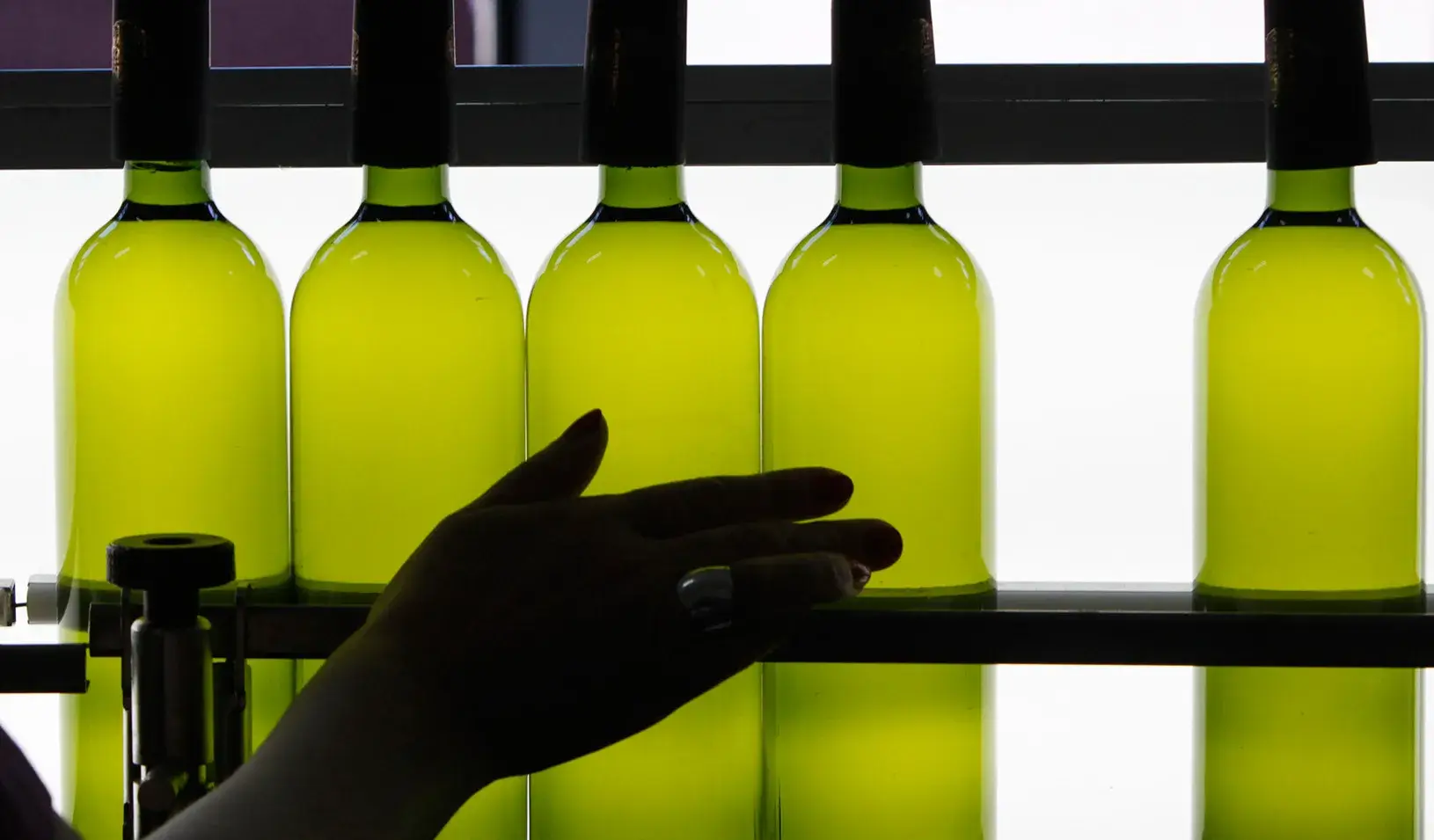 At the Teliani Valley wine factory east of Tbilisi, Georgia (Reuters photo by David Mdzinarishvili)