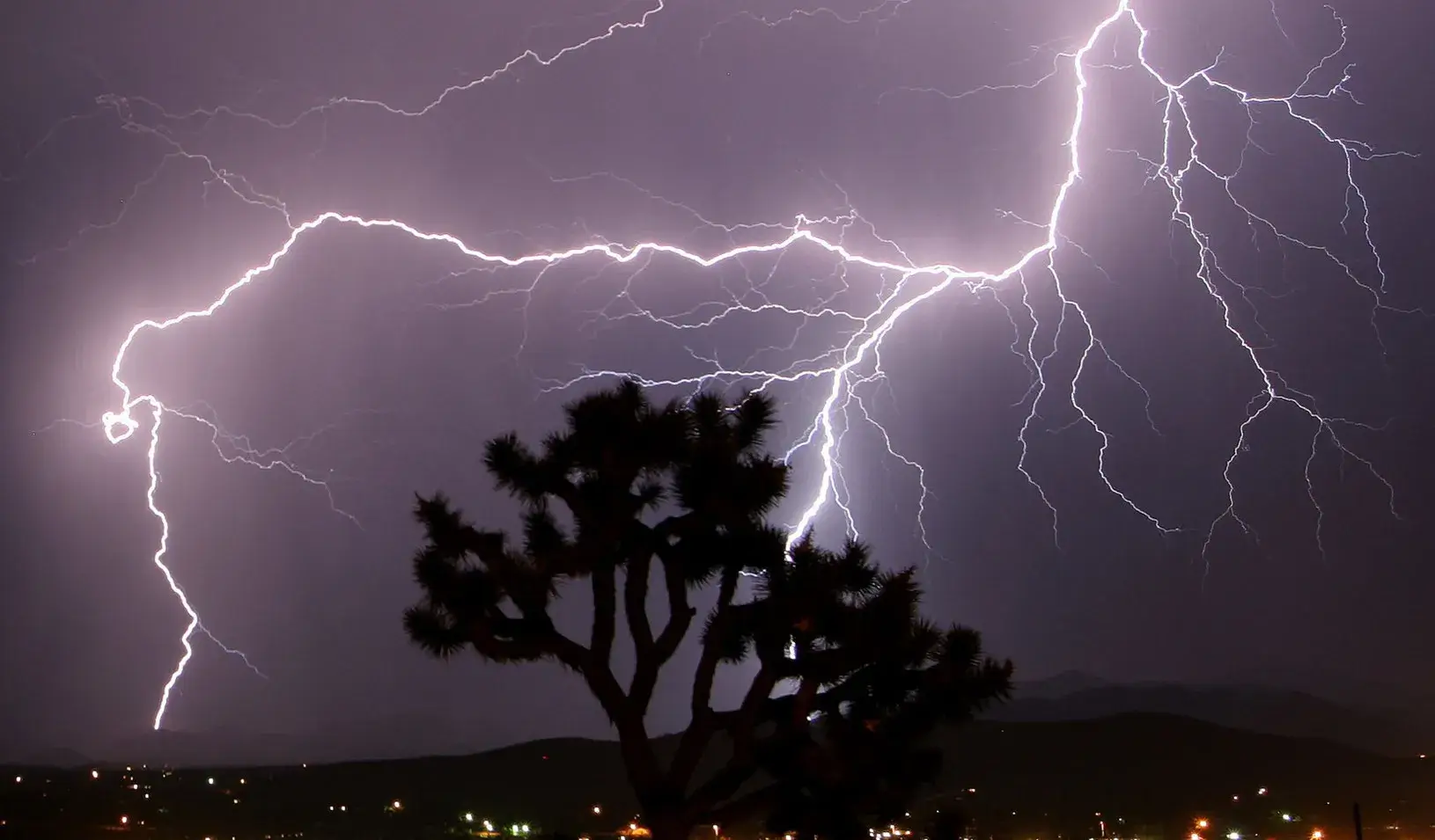 Lightning strikes across the skies of Twentynine Palms in California, 2005. (Reuters photo by Gene Blevins)