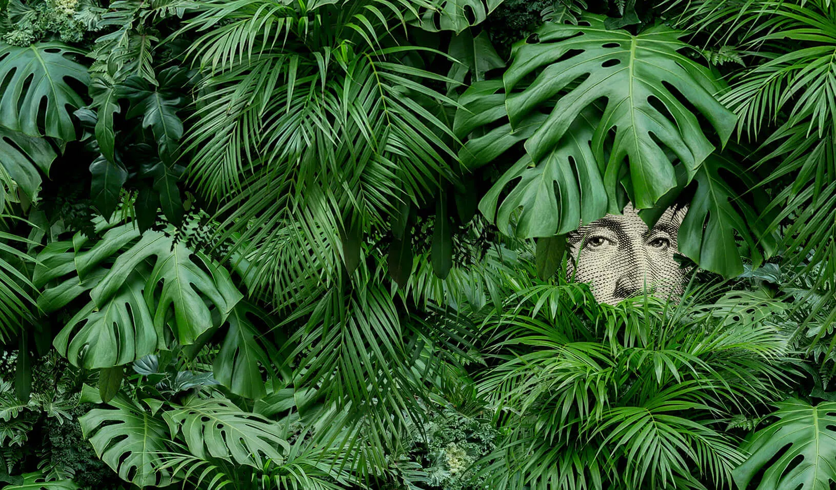 Illustration of George Washington on the Dollar bill peeking through some bushes. Credit: Alvaro Dominguez