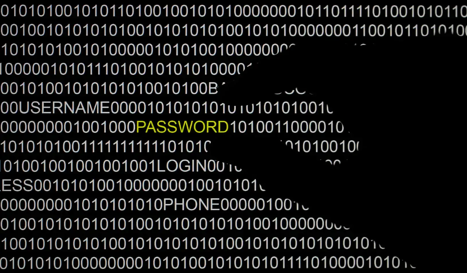 A hand is silhouetted in front of a computer screen | Reuters/Pawel Kopczynski