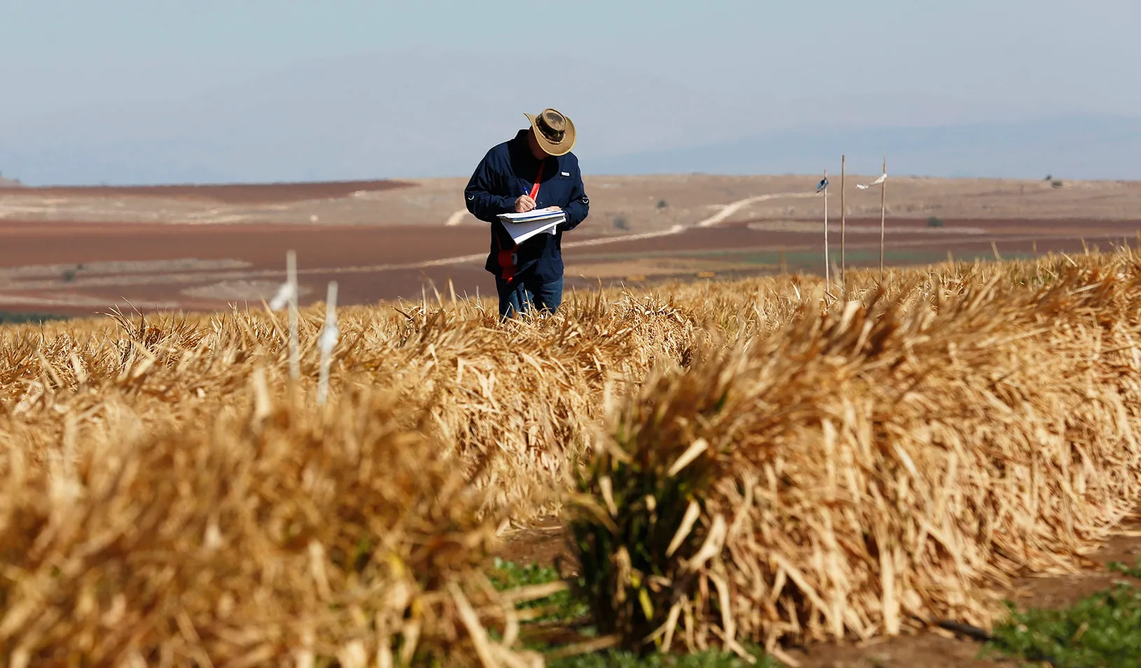 A researcher standing in a field. | Reuters/Baz Ratner