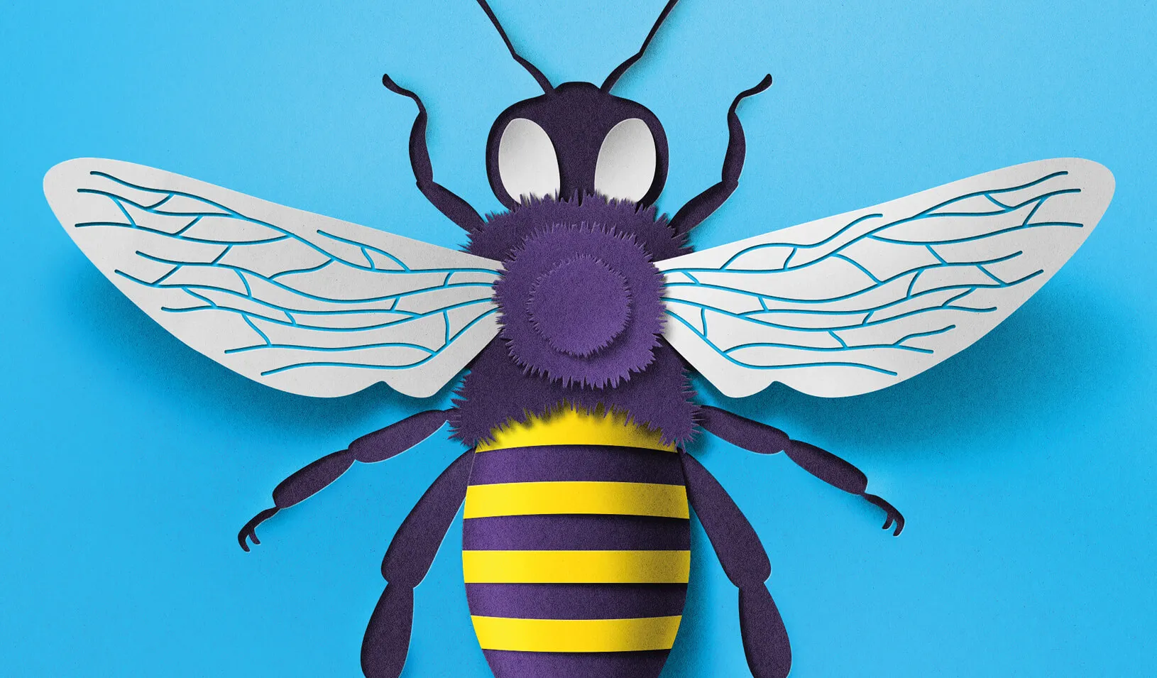 Bumble Bee. Credit: Eiko Ojala