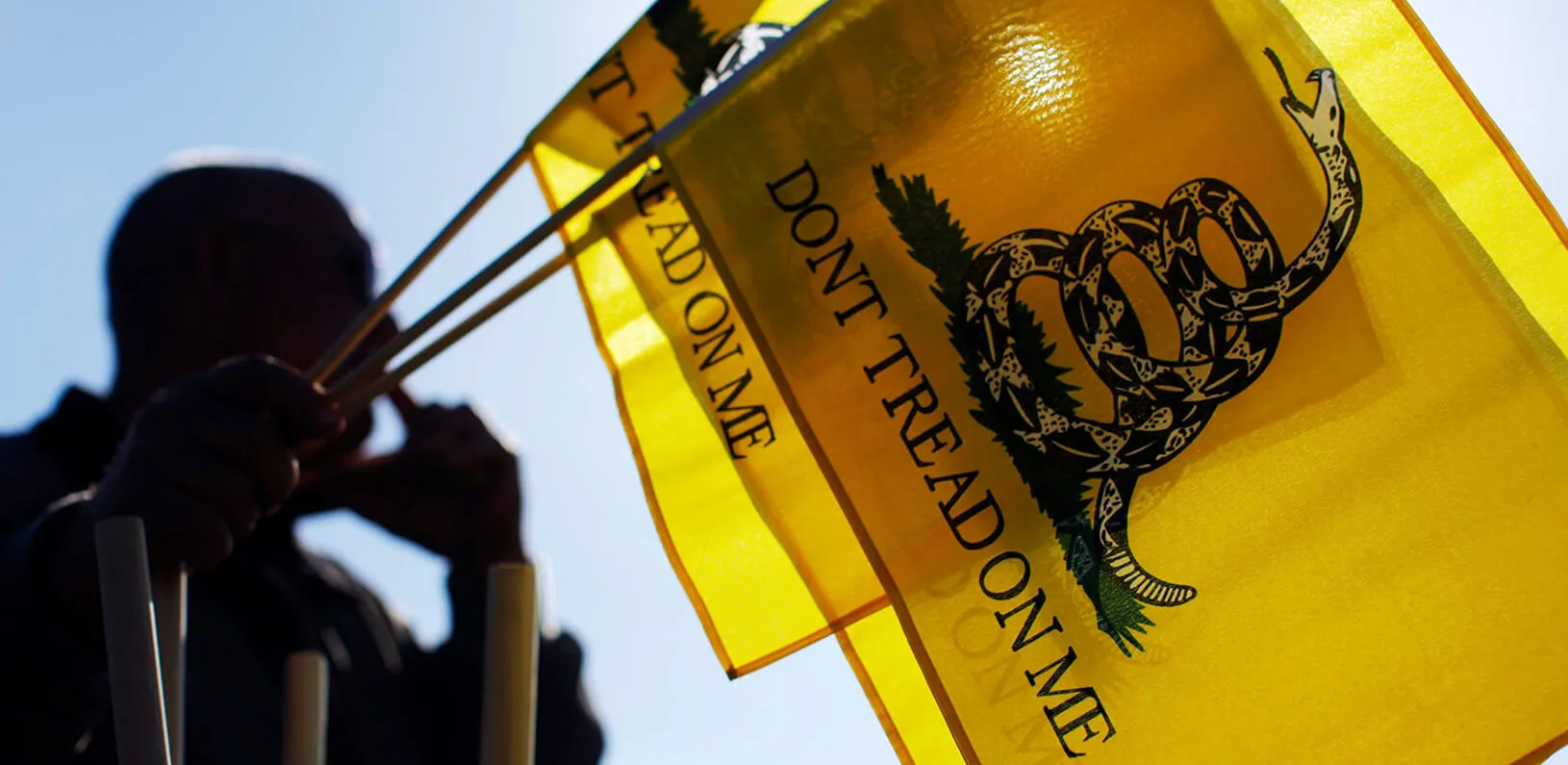 man holding "don't tread on me" flags