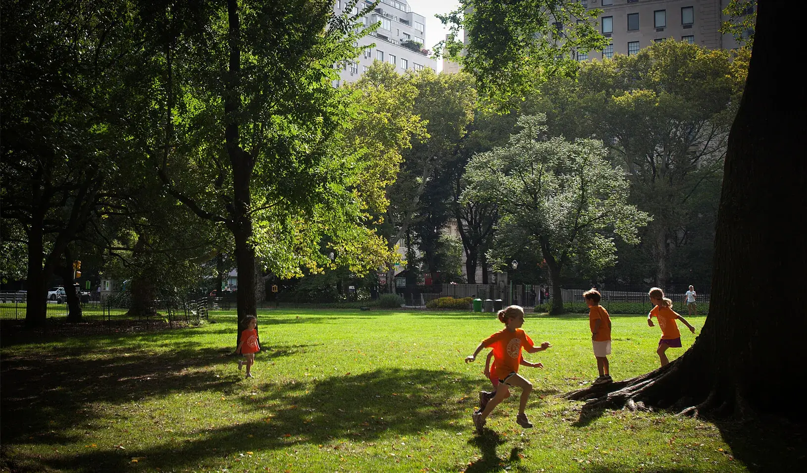 Children play in the early morning sun in Central Park in New York. Credit: Reuters/Carlo Allegri