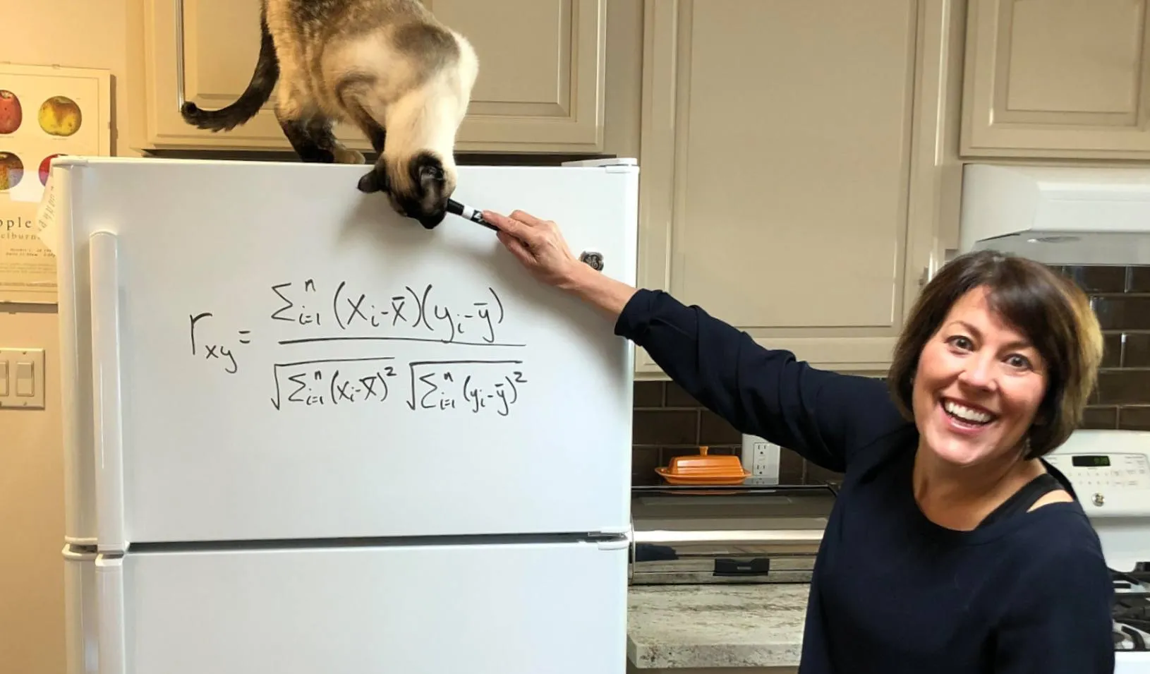 Senior Associate Dean, Sarah Soule, using her refrigerator as a white board in the early days of quarantine. Credit: Ivan Geraghty
