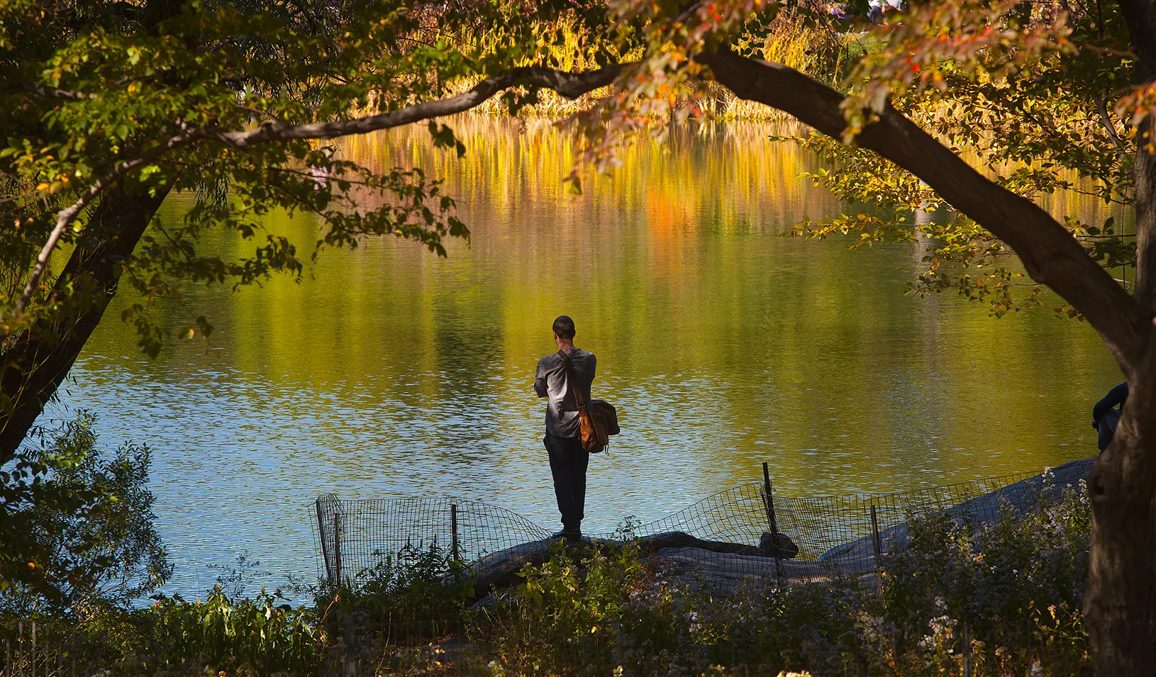 A man standing at the edge of a pond, looking at it