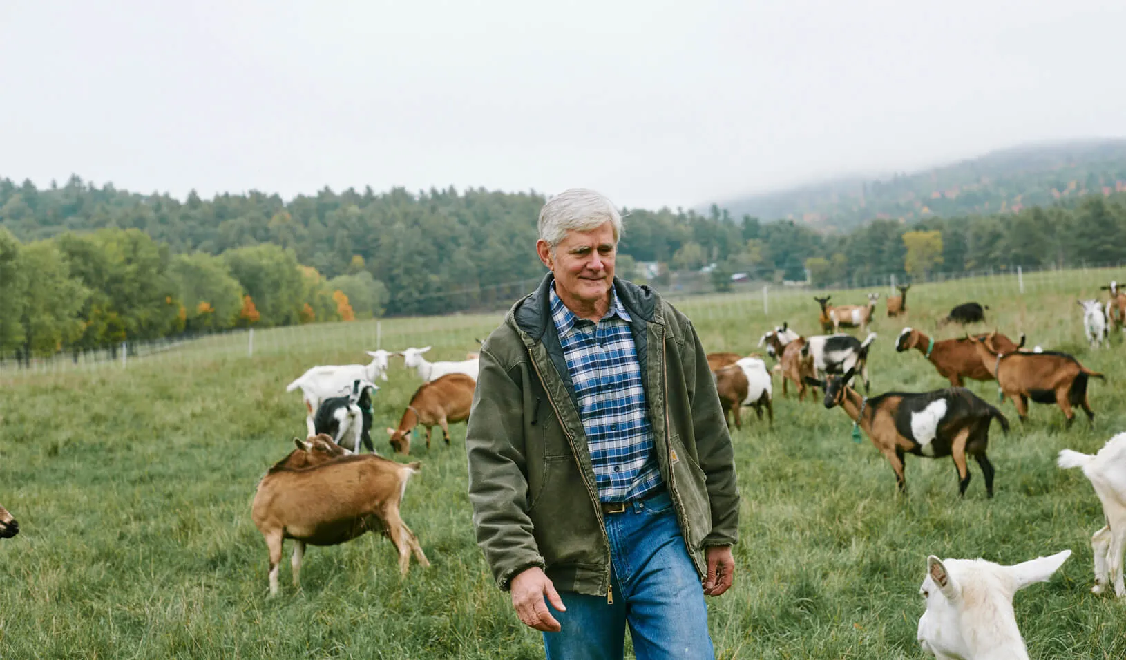 David Brunner walks a field with his goats. Credit: Corey Hendrickson