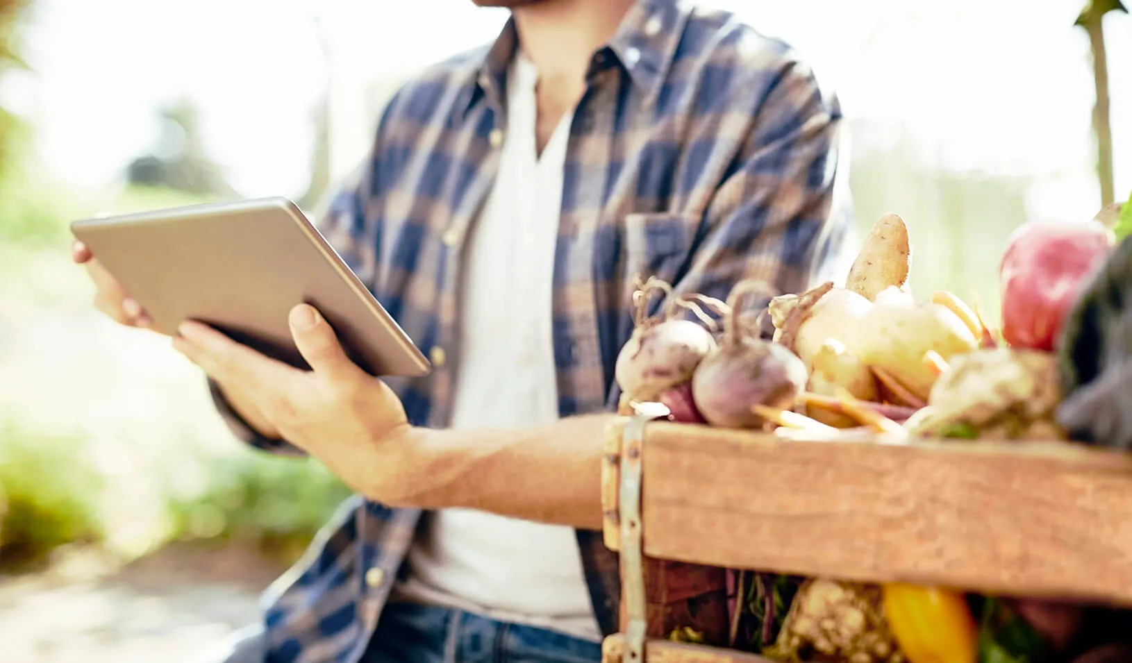 a man looks at an iPad while sitting next to a crate of vegetables