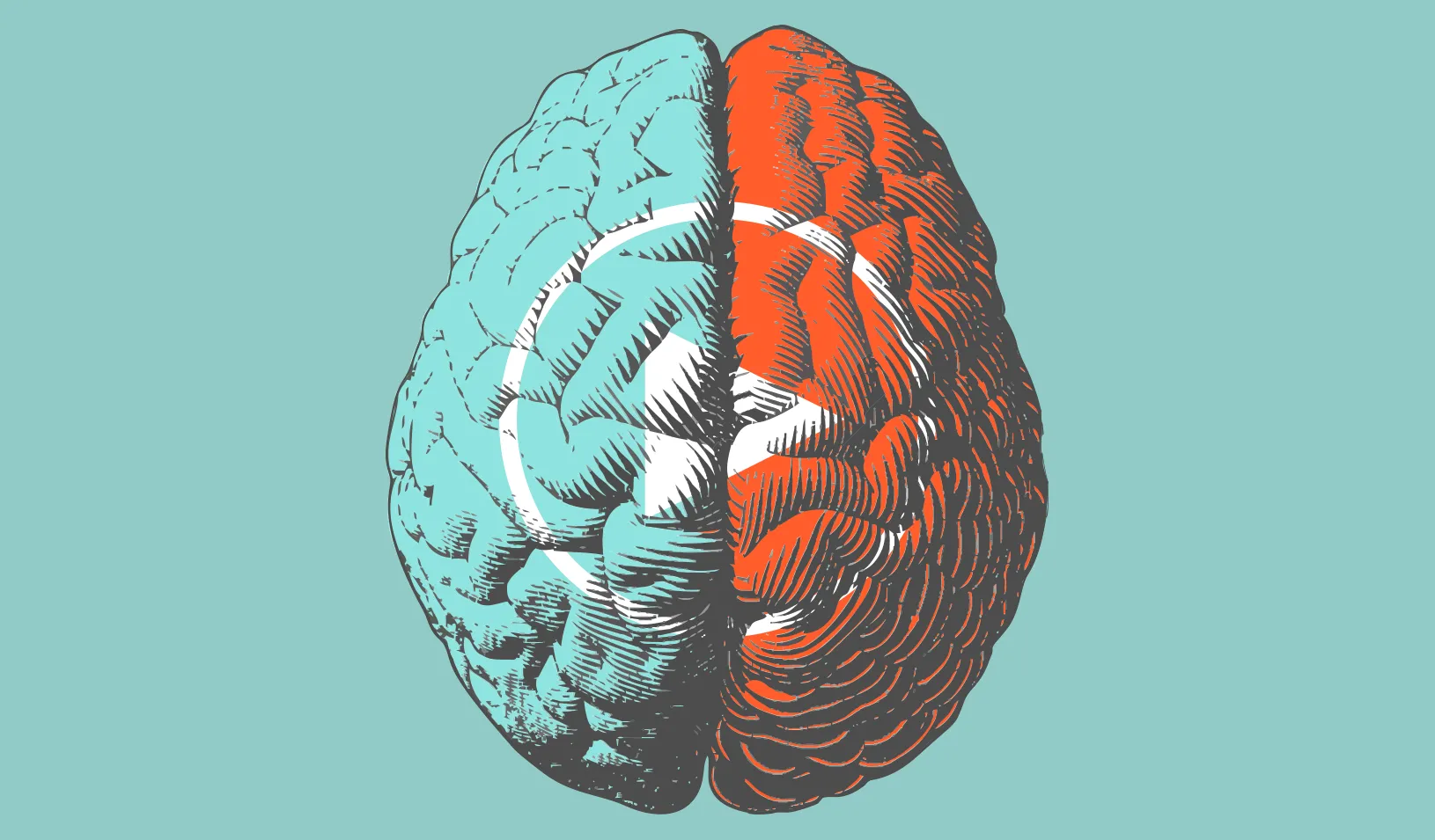 An animated illustration showing the two sides of the brain throbbing, overlaid with a play button. Credit: iStock/Jolygon (animated by Tricia Seibold)