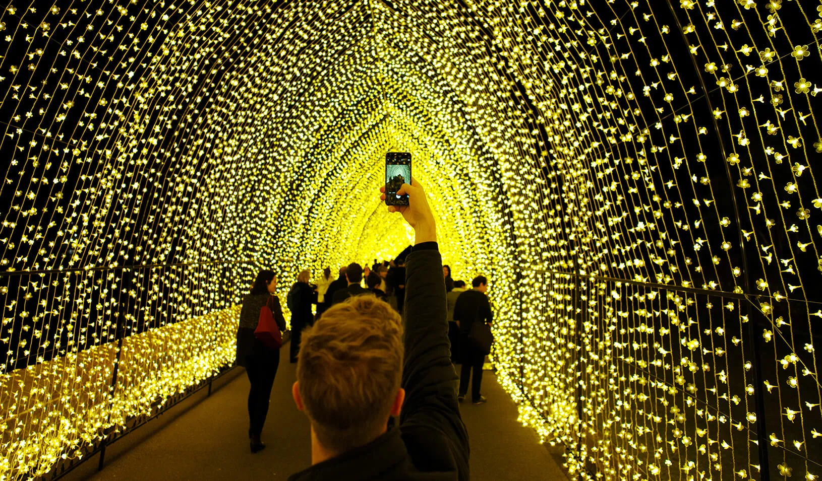 Cathedral of Light' at the Sydney Botanical Garden | Reuters/Jason Reed