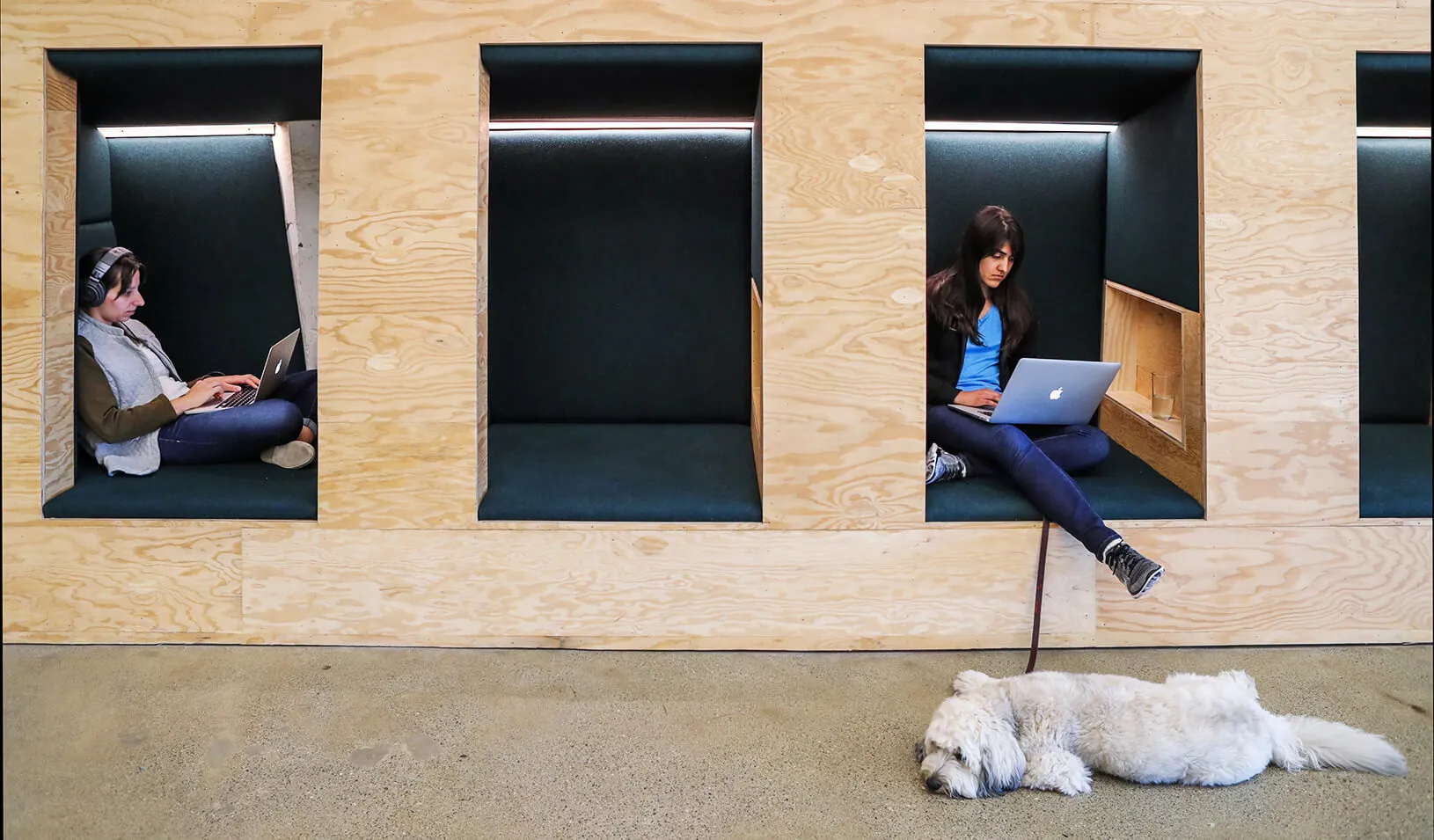 People work in cubes with their Apple computers at the Airbnb office headquarters in the SOMA district of San Francisco, CA. | Reuters/Gabrielle Lurie