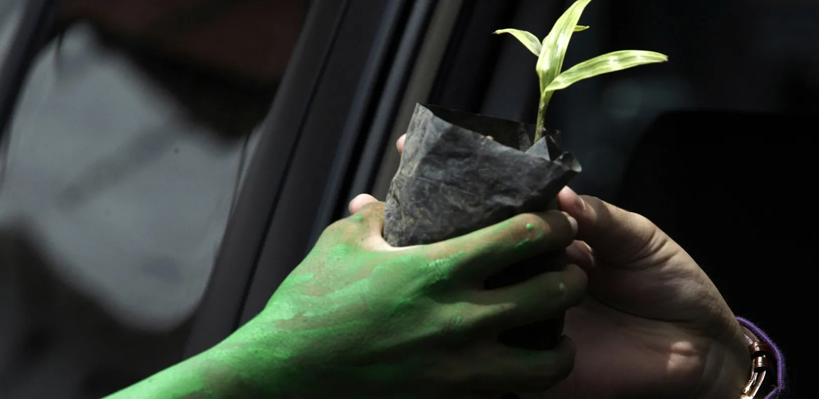 An environmental activist with green paint on his hand gives a plant to a car driver 
