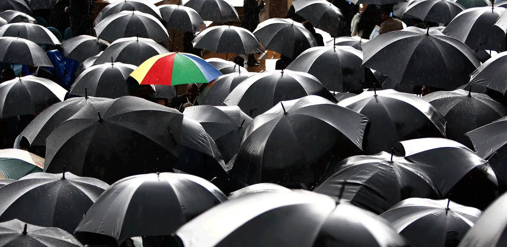 A colorful umbrella among grayscale umbrellas
