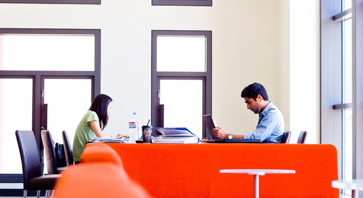 Two students quietly studying in the library