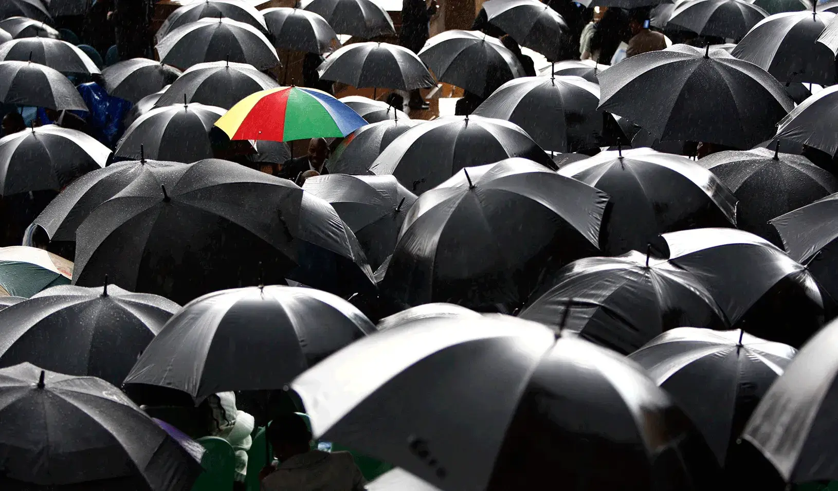 A colorful umbrella among grayscale umbrellas | Reuters/Steve Crisp