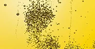 Bubbles in yellow liquid