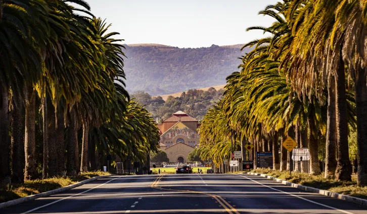 A view Stanford University from Palm Drive. Credit:  Farrin Abbott / Stanford News