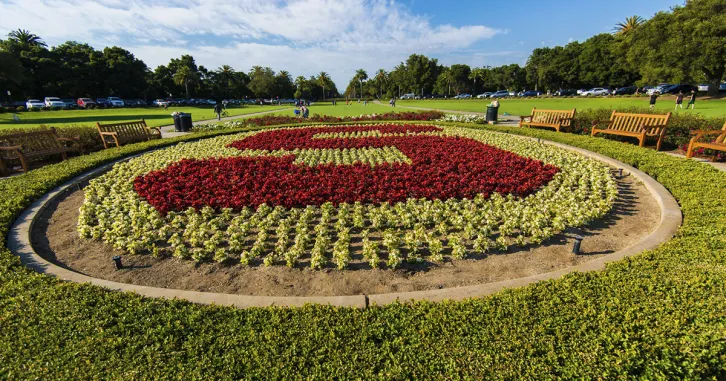 Stanford Quad