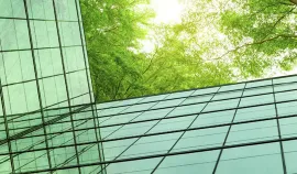 Image - Windows with trees