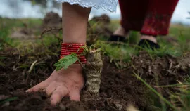 indigenous woman's hand reaching into freshly tilled ground
