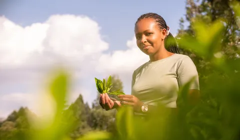 Collaborating Across Stanford for Sustainability