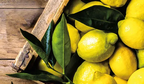 Wilson’s Juice Co.