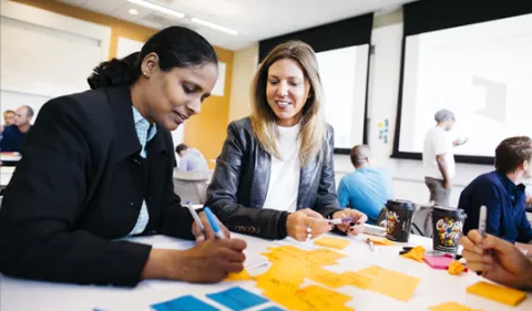 Professional Experience