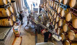 Winemakers Maker Wine in their warehouse, surrounded by barrels of wine, with bottles of wine going down a conveyer belt in the middle of the room. William Carnahan