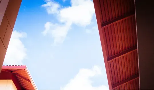 Explore All Initiatives