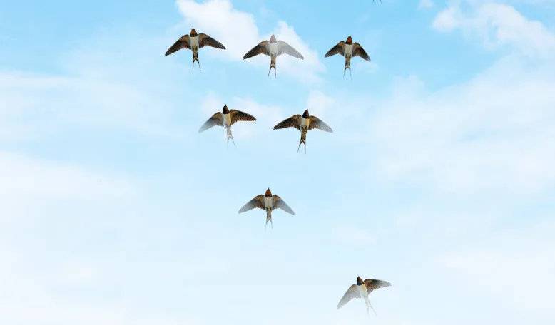 Want to Learn How Things Really Work at Your New Job? Talk to the People at the Bottom