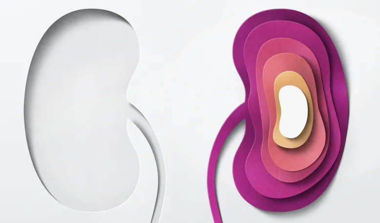 A Beautiful Application: Using Economics to Make Kidney Exchanges More Efficient and Fair