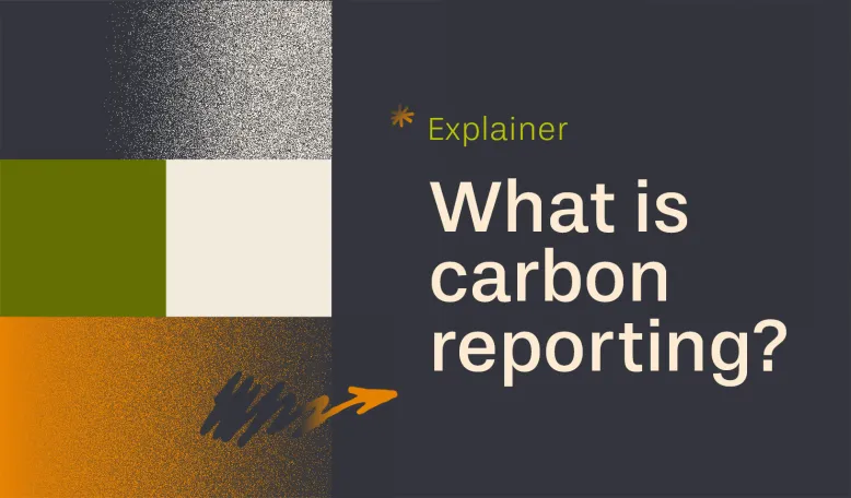 Explainer: What is Carbon Reporting?