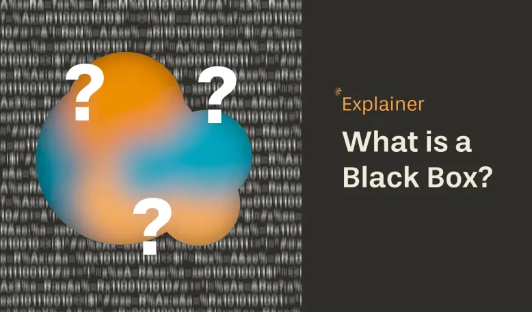 Explainer: The Black Box Problem