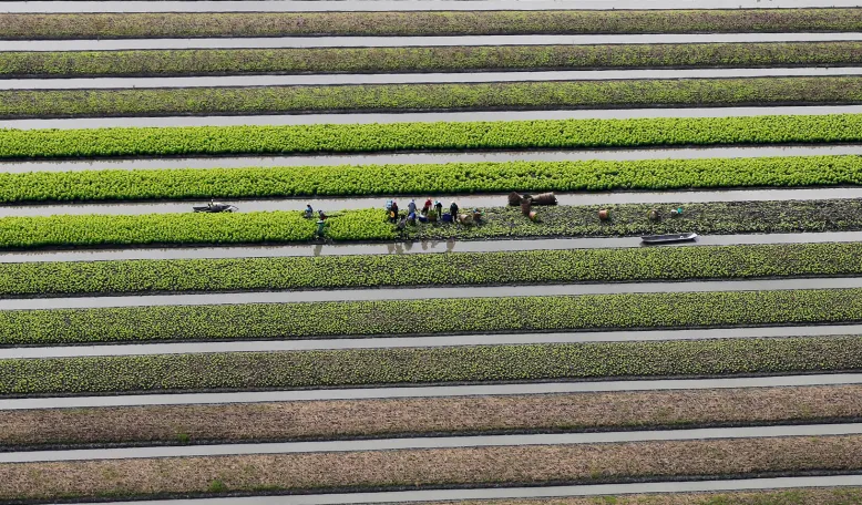 The Future of Food
