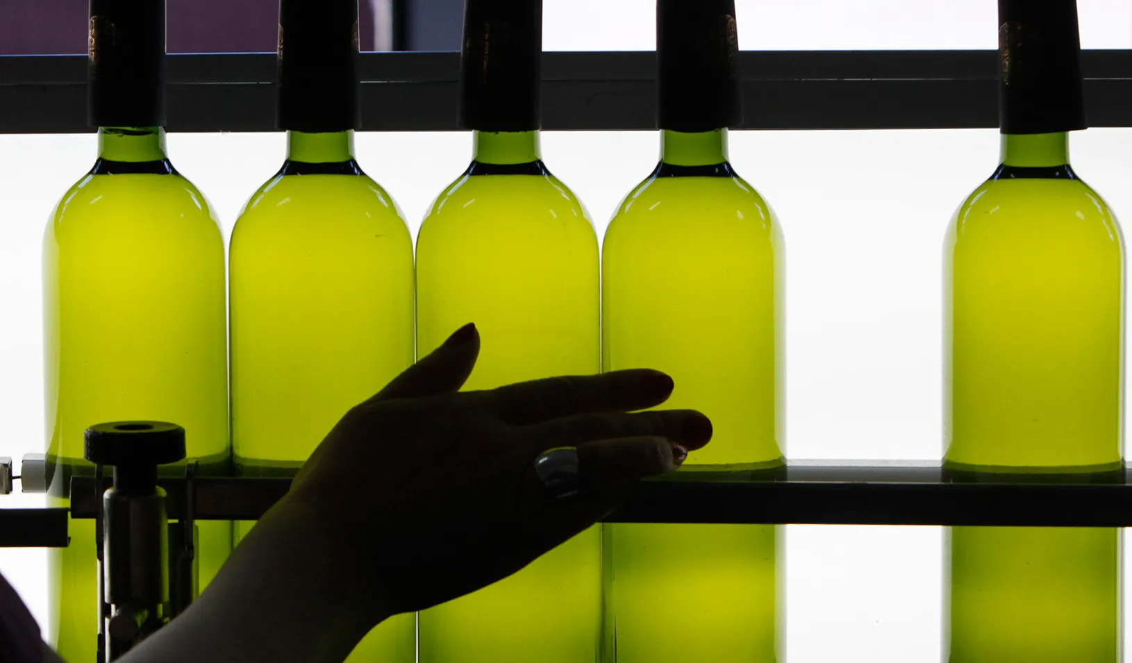 At the Teliani Valley wine factory east of Tbilisi, Georgia (Reuters photo by David Mdzinarishvili)