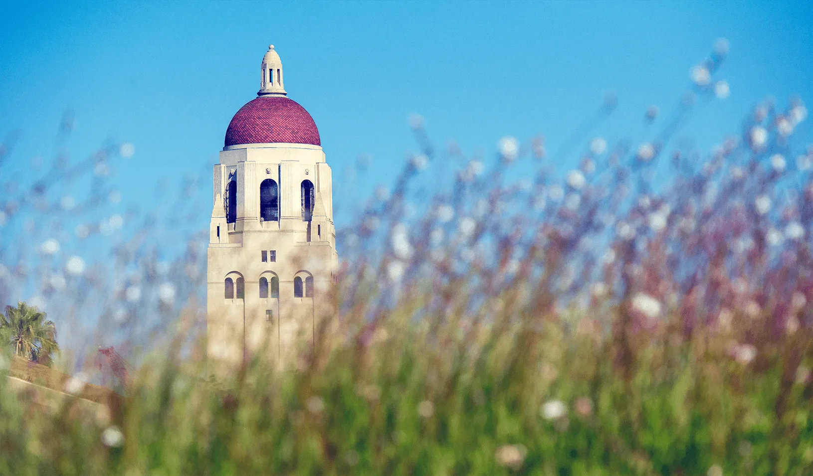 A scenic picture of Hoover Tower. Credit: Linda A. Cicero/Stanford News Service