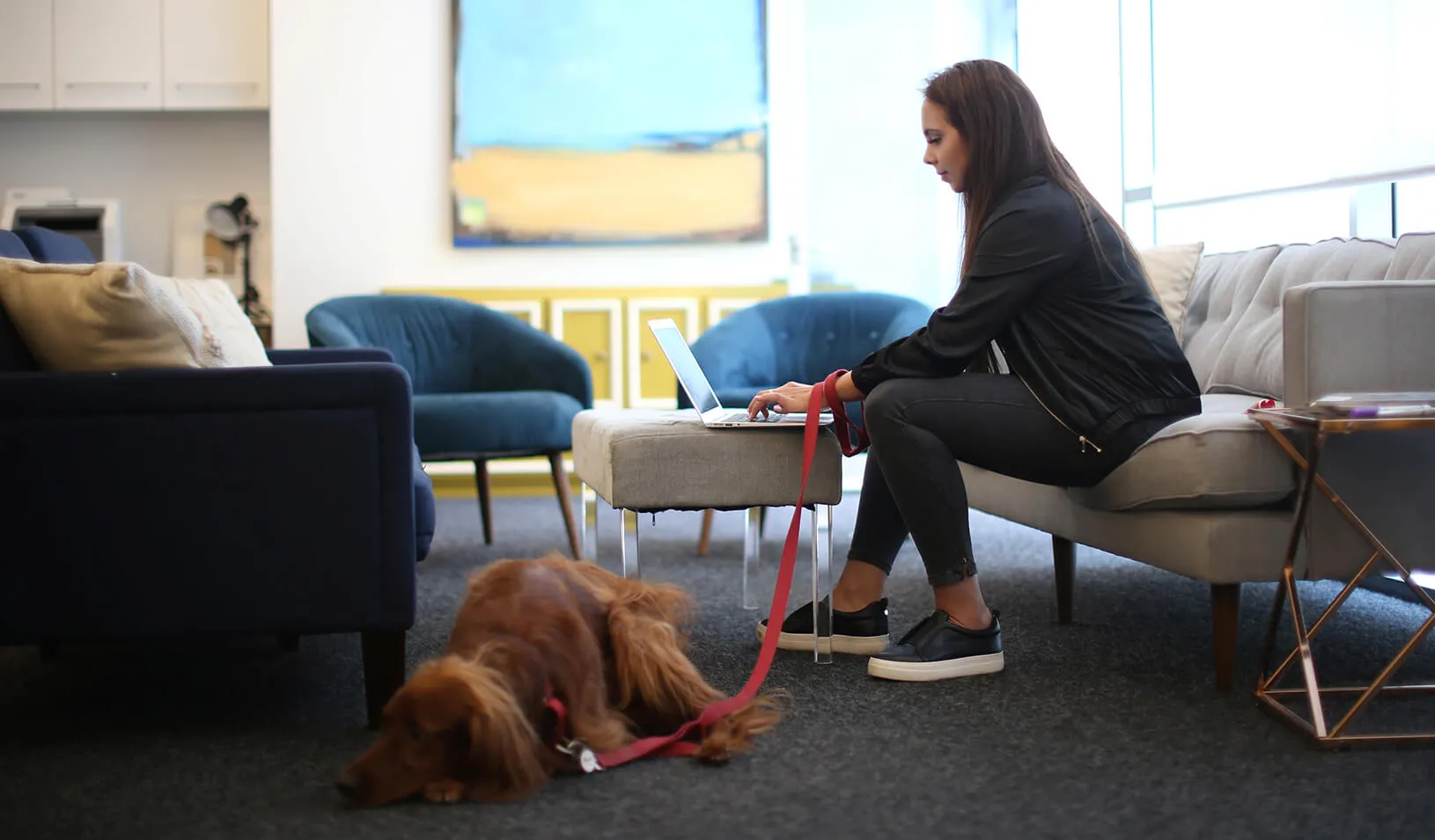 Taylor Pozen, 26, works with her dog Rari at the Tradesy office in Santa Monica, California, U.S., June 1, 2017. | Reuters/Lucy Nicholson