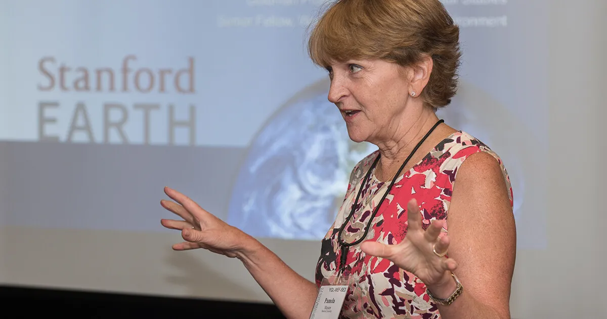 Stanford Earth Dean Pamela Matson speaking | Steve Castillo